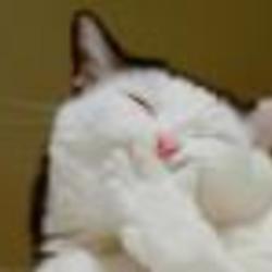 Re sized fb100001098362053 1379235043 ava