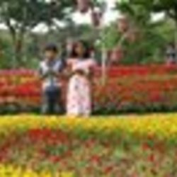 Re sized fb100001151290030 1376457404 ava