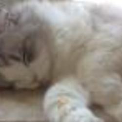 Re sized fb100001339828477 1360793398 ava