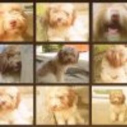 Re sized fb100001619690847 1359652238 ava