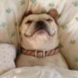 Re sized fb100001678146530 1369368165 ava