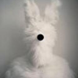 Re sized fb100001694746542 1390866070 ava