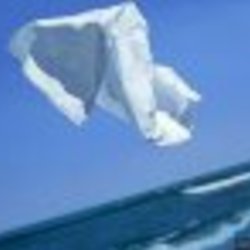 Re sized fb100001721541439 1379510288 ava