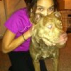 Re sized fb100001729829268 1384746737 ava