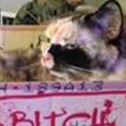 Re sized fb100001913069177 1372869153 ava