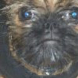 Re sized fb100002212966408 1364930438 ava