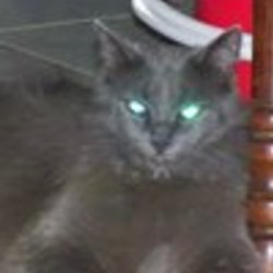 Re sized fb100002946942165 1389719308 ava