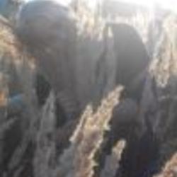 Re sized fb100003328195643 1360831937 ava