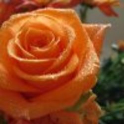 Re sized fb100003363888882 1371756160 ava