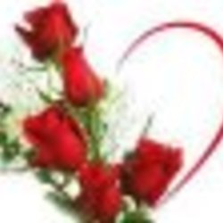 Re sized fb100004426303580 1362760446 ava