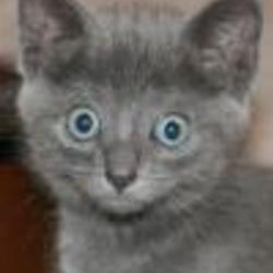 Re sized fb100004496166984 1373307120 ava