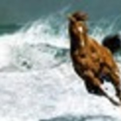 Re sized fb100005328344087 1378263435 ava