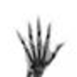 Re sized fb100005857934094 1384146151 ava