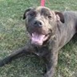 Re sized fb100006126000307 1377613246 ava