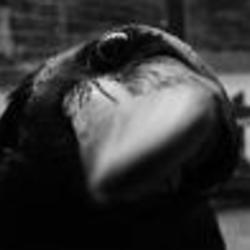 Re sized fb1010637973 1360624736 ava