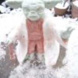 Re sized fb1030328681 1358881709 ava