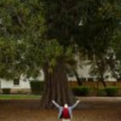 Re sized fb1042410097 1362525992 ava