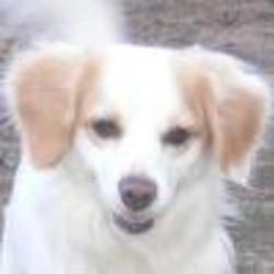 Re sized fb1118405968 1361295677 ava