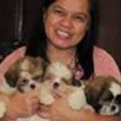 Re sized fb1153590407 1386395324 ava