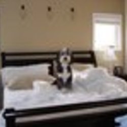 Re sized fb1155057088 1367603550 ava