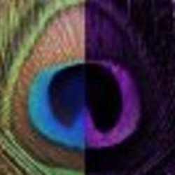 Re sized fb1155709550 1375243607 ava