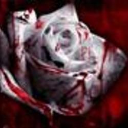 Re sized fb1188247065 1385120721 ava