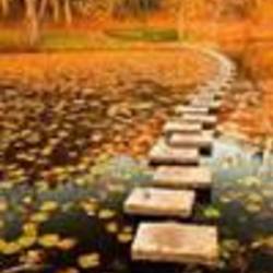 Re sized fb1212672249 1393870323 ava