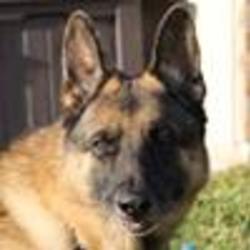 Re sized fb1220291792 1374271043 ava