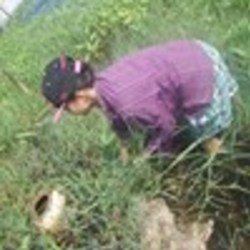 Re sized fb1234486976 1385959169 ava