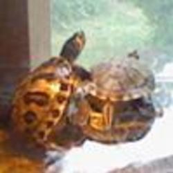 Re sized fb1245866405 1380244548 ava