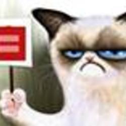 Re sized fb1331956027 1375833185 ava