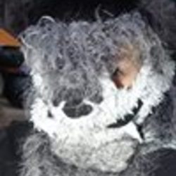 Re sized fb1370414841 1385294743 ava