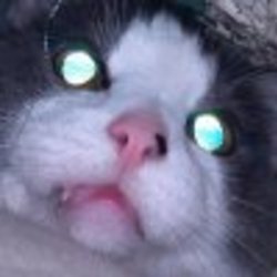 Re sized fb1439772888 1361091582 ava