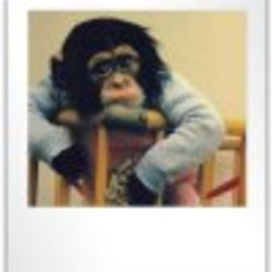 Re sized fb1441195324 1364742669 ava