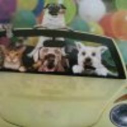 Re sized fb1456801453 1357537694 ava