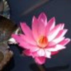 Re sized fb1512784952 1389676530 ava