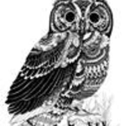 Re sized fb1526333155 1382065306 ava