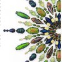 Re sized fb1571557038 1362769443 ava