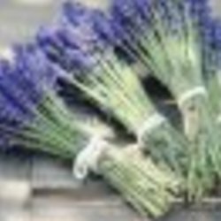 Re sized fb1602665393 1370261268 ava