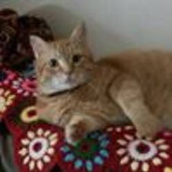 Re sized fb1666185062 1377355452 ava