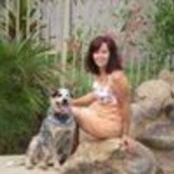 Re sized fb1739756813 1397083397 ava