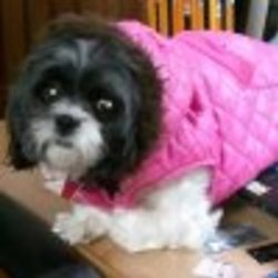 Re sized fb1758178371 1360715210 ava