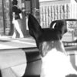 Re sized fb1788154904 1377392176 ava