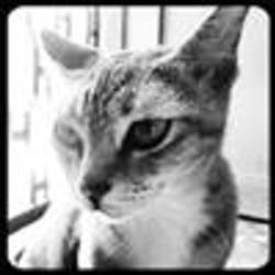 Re sized fb1837541222 1370000167 ava