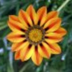 Re sized fb506416682 1388364254 ava