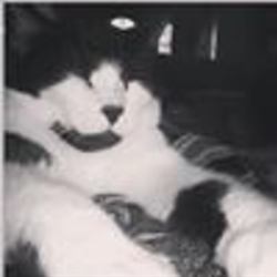 Re sized fb520983892 1369931628 ava