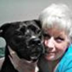 Re sized fb528138928 1373569101 ava