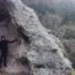 Re sized fb533967032 1360003497 ava