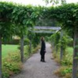 Re sized fb534505658 1386371171 ava