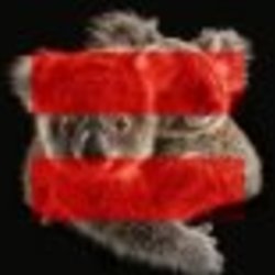 Re sized fb538373371 1367462459 ava